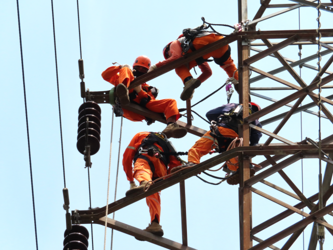 New LLPDs d69z have been installed in Indonesia. New LLPDs d69z have been installed in Indonesia.